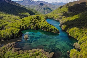 Biogradska Gora National Park: Your Complete Guide to Montenegro’s Natural Paradise