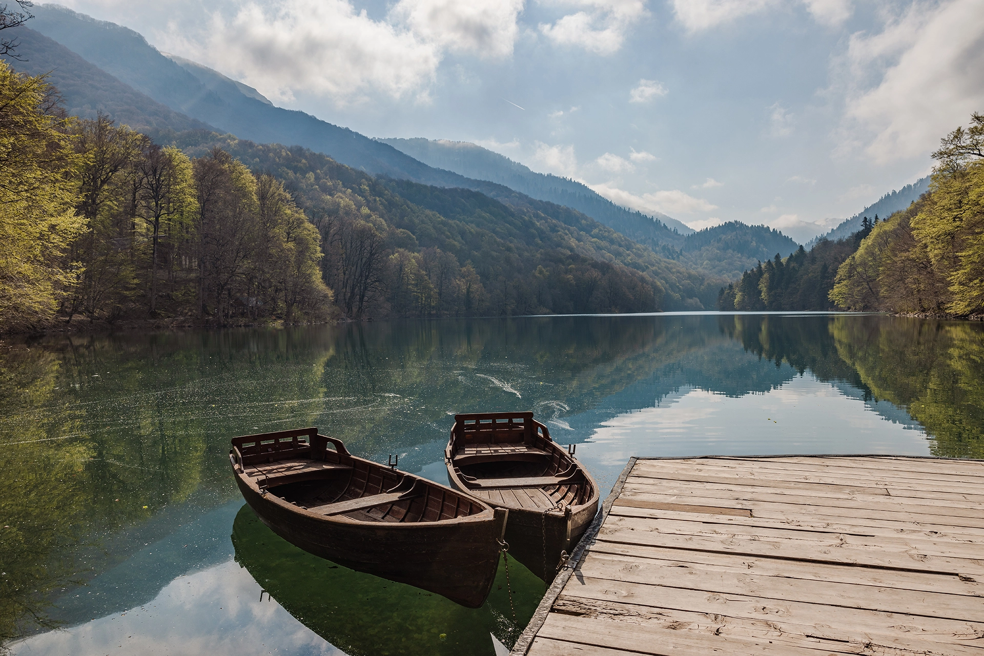 Biogradska Gora National Park: Your Complete Guide to Montenegro’s Natural Paradise