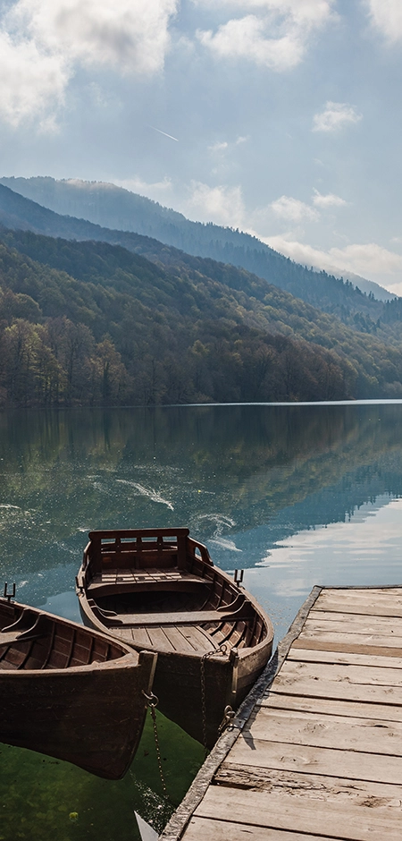 Biogradska Gora National Park: Your Complete Guide to Montenegro’s Natural Paradise