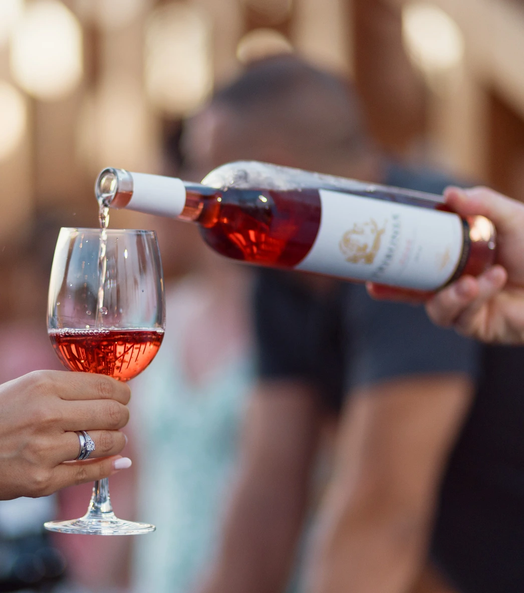 Montenegrin Wine – The Origin of Kratošija: A Guide to Montenegro’s Iconic Grape