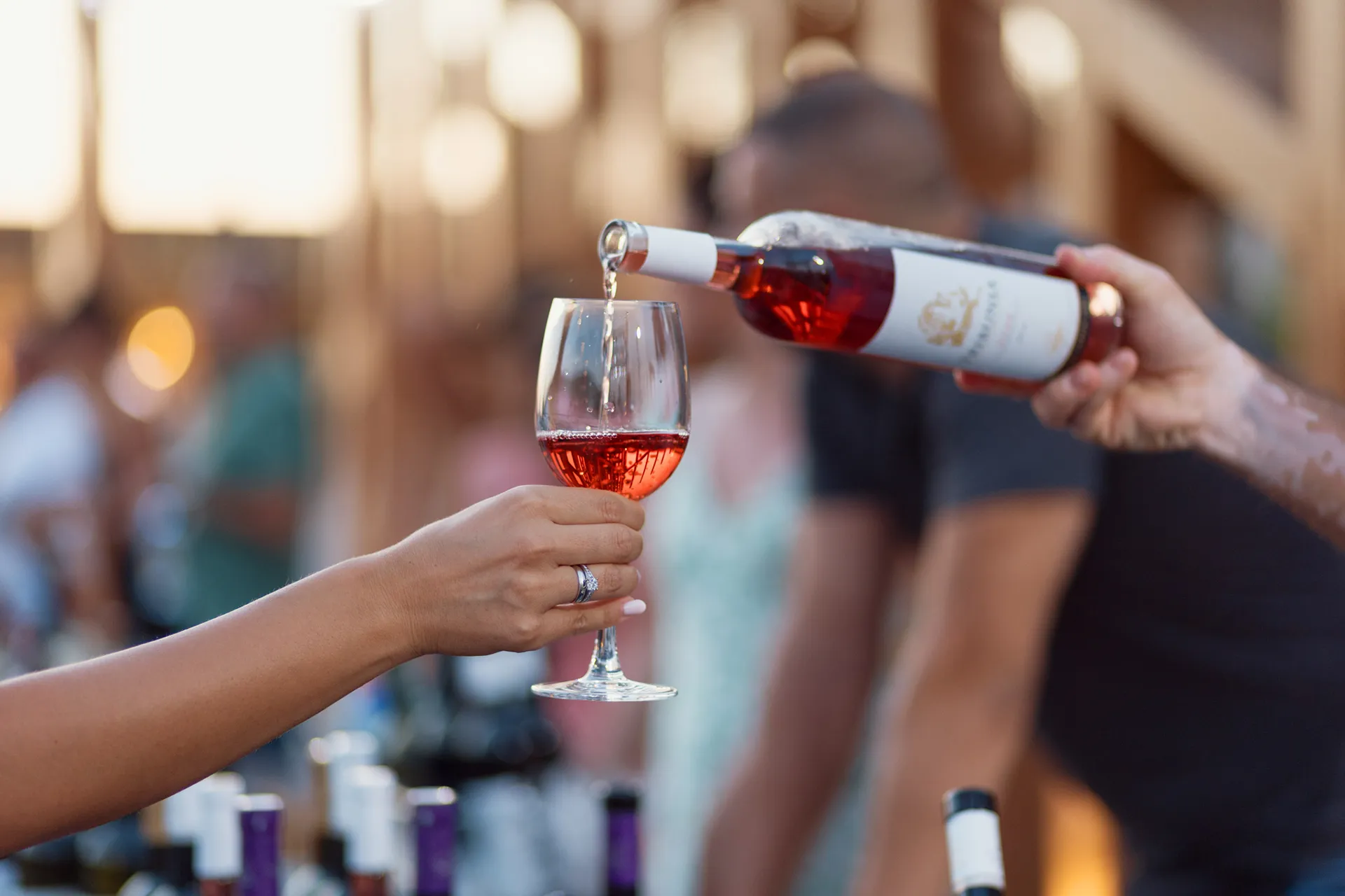 Portonovi veče vina – veče za pamćenje