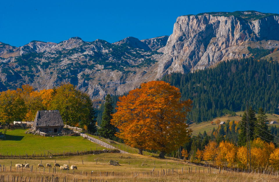 Durmitor National Park