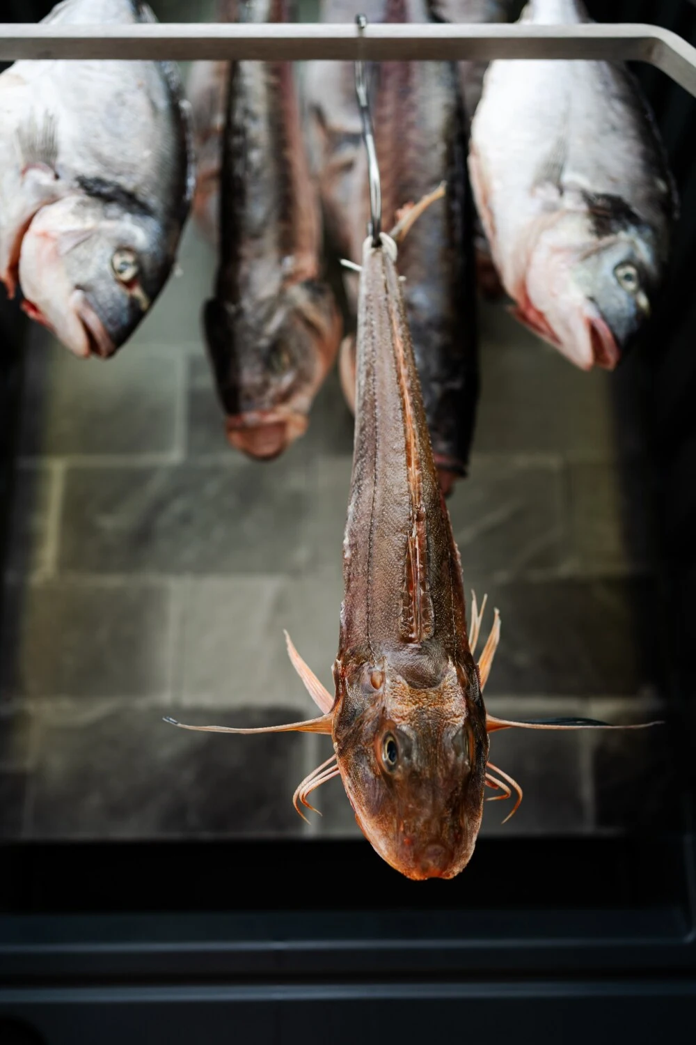 Rockfish restaurant