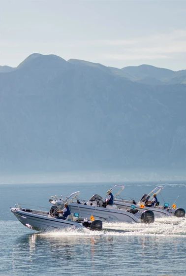 ADRIATIC BOAT Portonovi Resort_alt